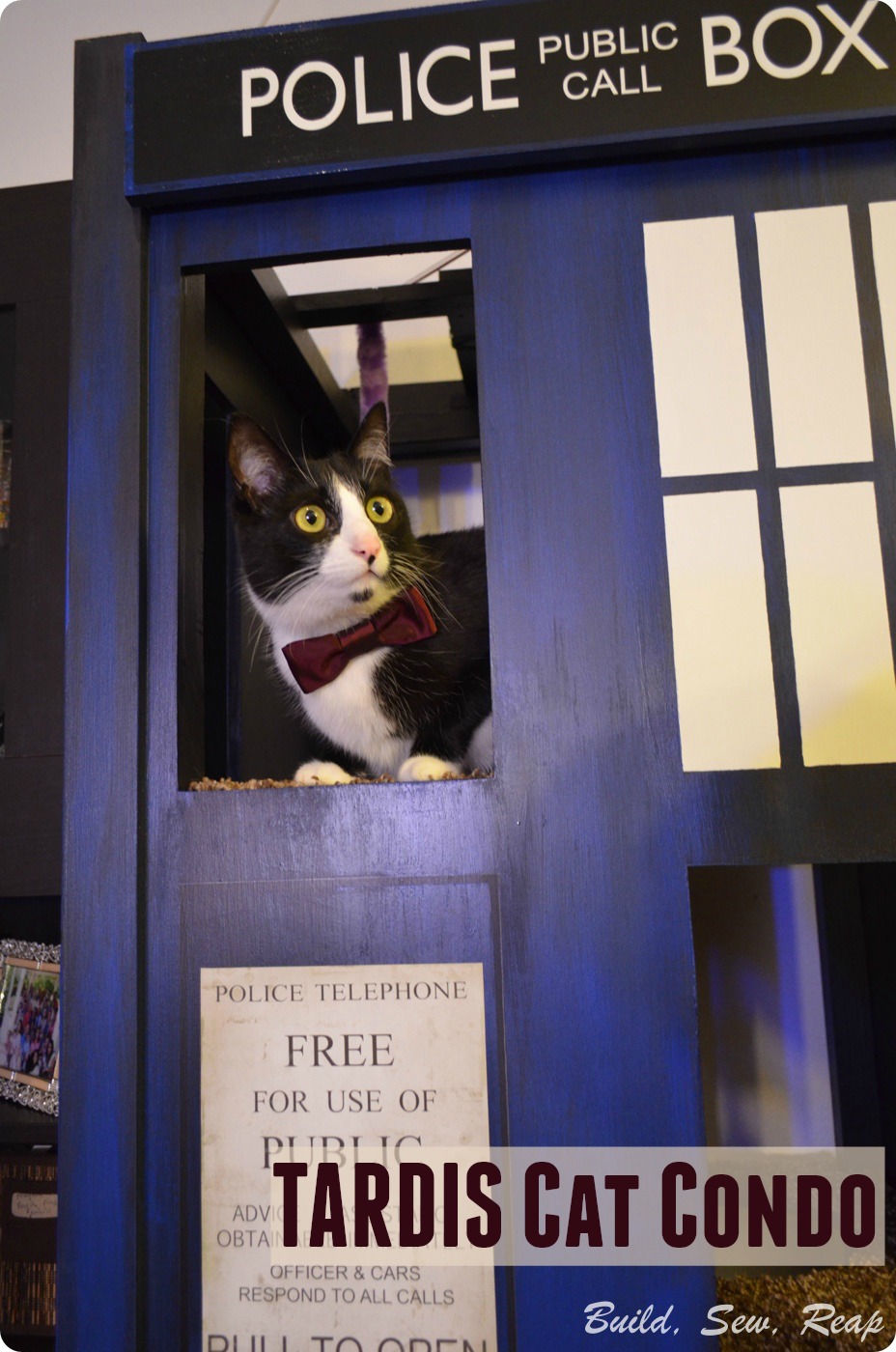 TARDIS Cat Condo by Julie @ Build, Sew, Reap