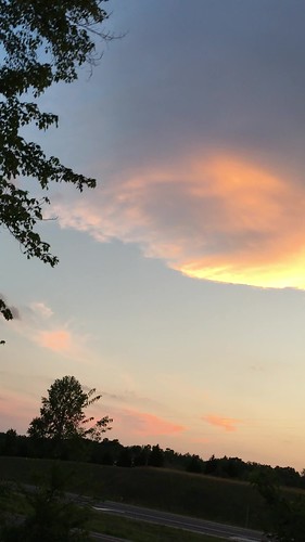 blue trees sunset sky orange cloud yellow clouds view videos iphone 6s