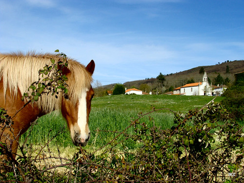 primavera portugal natureza chaves aldeia trasosmontes 2013 ilustrarportugal águasfrias