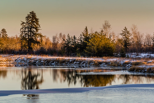 trees light shadow snow ice nature water reflections landscape alberta redwater