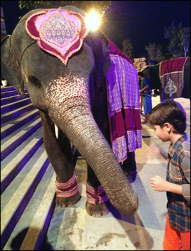 My boy and elephant at Siam Niramit
