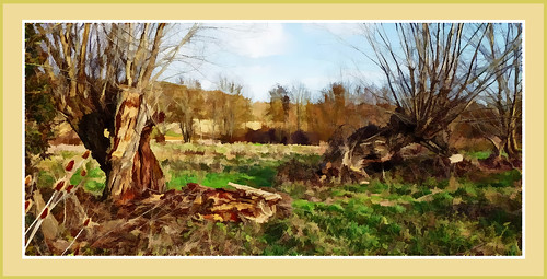 old trees photoshop painting touch fine willow watercolour plugin pollard trogne redfield
