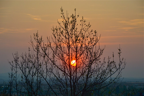 sunset tree salzburg austria sonnenuntergang branches baum österreich äste ringexcellence nikond3100 mülln me2youphotographylevel1