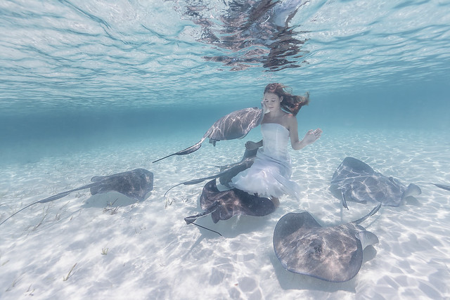 Stingrays and a girl