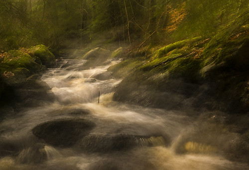 autumn water creek forest river flow moss woods stream sweden stones autumnleaves icm halland mygearandme