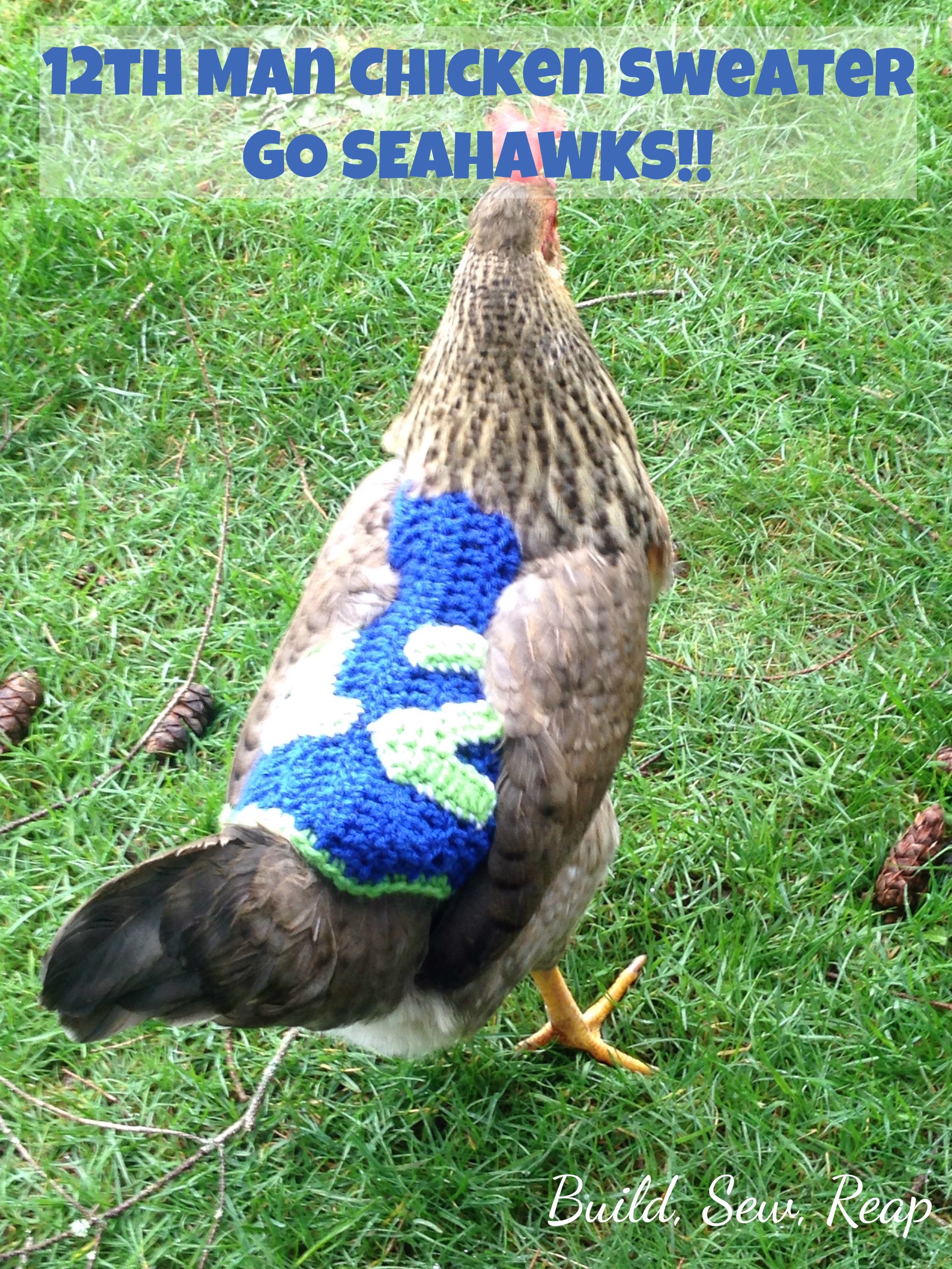 Seahawks 12th Man Chicken Sweater