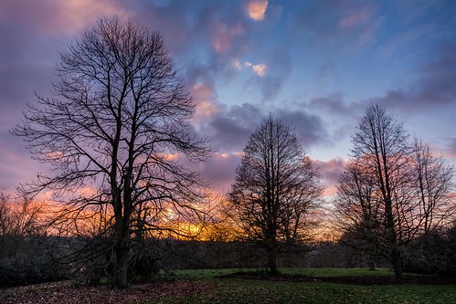 winter sunset england tree silhouette clouds kent nikon solitude peace tranquility maidstone lightroom motepark sigma1020f456 d7100