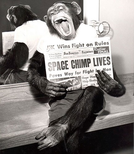 A space chimp poses for the camera after a successful mission to space in 1961