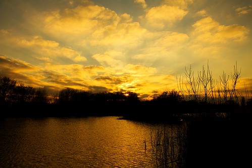sunset sun lake reflection silhouette river bedford gold bedfordshire flare felton lumen robertfelton theembankment longholmelake thegreatouse