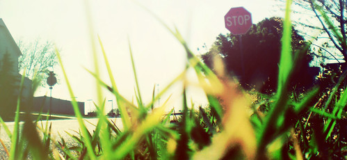 summer sun grass sign closeup daylight angle pov pointofview stop stopsign