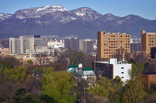 japan landscape sapporo scenery hokkaido university