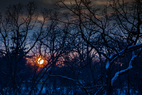 winter sunset minnesota silhouette landscape is woods sundown dusk 1785mm xsi 1785mmis canonxsi