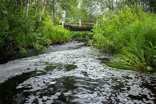 bridge old creek water grass green summer trees skellefteå bergliden nikon d800 nikon247028afs