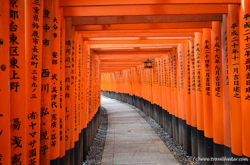 fushimi inari shrine - torii gates