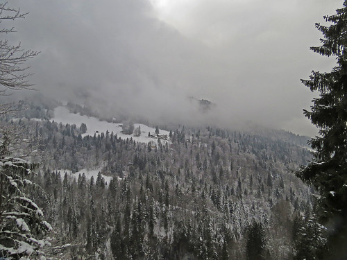 winter cloud snow mountains ice fog pine forest hiking gray garmischpartenkirchen wetterstein graseck hintergraseck