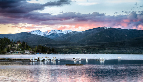 sunset mountain lake mountains west pelicans nature water birds outdoors scenery colorado scenic americanwest theamericanwest thewest shadowmountainlake