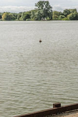 A radio controlled boat cruising the lake