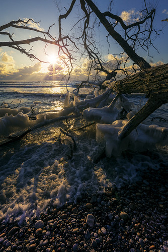 winter sunset ontario canada reflection ice nature water clouds sunrise frozen waves shadows branches january pebbles canadian attitude bark foam whitby lensflare colourful icy splash icicles fallentree oldmanwinter conservationarea lhiver aahs submergedrocks submergedtree canon6d frigginfreezing rokinonf2814mmwideanglelens