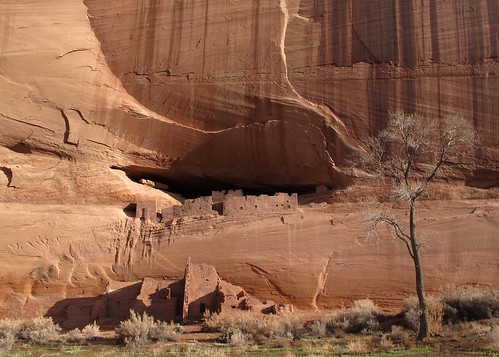 morning winter light arizona southwest history archaeology beauty outdoors ruins peace shadows whitehouse pueblo tranquility canyon adventure explore highdesert exploration canyondechelly cliffdwelling canyondechellynationalmonument navajonation theancientones apachecounty northernaz navajorez ancestralpuebloans zoniedude1 canonpowershotg12 whitehouseinbetween nazwinterroadtrip kiniinigai ce1060ce1275 pronounceddshay