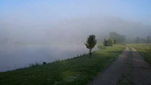 road morning ohio summer mist lake misty fog pond gravelroad