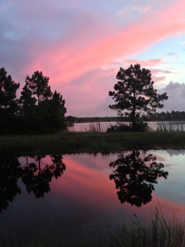 pink cloud water dawn florida reflect martincounty joneshungryland