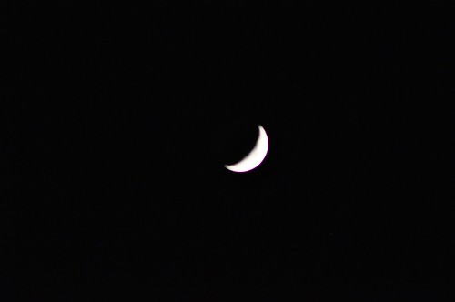 311: Cheshire Grin or Crescent Moon