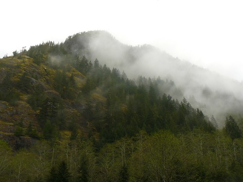 mist mountain