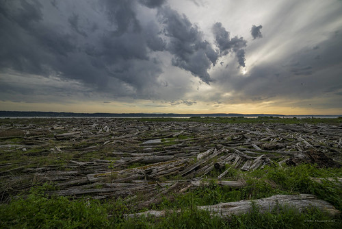 washington unitedstates camanoisland