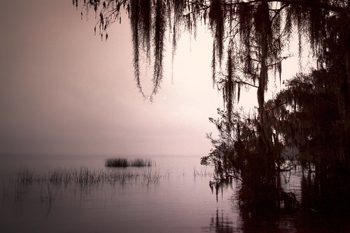 lake canon unitedstates florida dusk cypress crescentlake bunnell