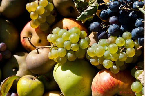 france pommes raisin couleursdautomne hautesavoie yvoire rhônealpes poires jardindes5sens nikond3 thirionolivier olivierthirion nikon24120f4