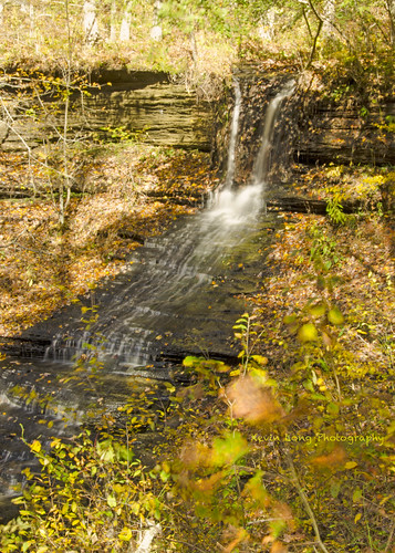 autumn color fall colors leaves waterfall leaf nikon waterfalls nikkor cascade jacksonfalls 18200mm natcheztraceparkway d7000