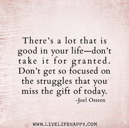 There’s a lot that is good in your life—don’t take it for granted. Don’t get so focused on the struggles that you miss the gift of today. - Joel Osteen