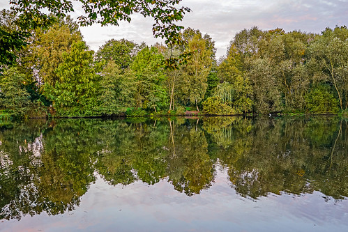 morning autumn light favorite lake reflection nature beautiful beauty wow germany deutschland photography lights photo view shot sony magic awesome hamburg herbst fine best alpha a7 magicmoment discover watter mirroring alpha7 finegold kupfer lovelyphotos favoritesonly dazzlingshots