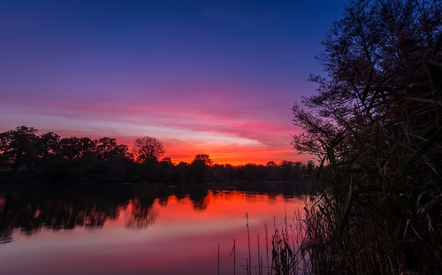 autumn light sunset england sky lake tree water clouds reflections countryside kent nikon vibrant calm ultrawide tranquil maidstone lightroom motepark sigma1020 d7100