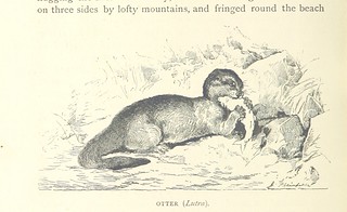 Image taken from page 570 of 'Travels in Africa during the years 1875-1878 (1879-1883-1882-1886) ... Translated from the German by A. H. Keane ... Illustrated'