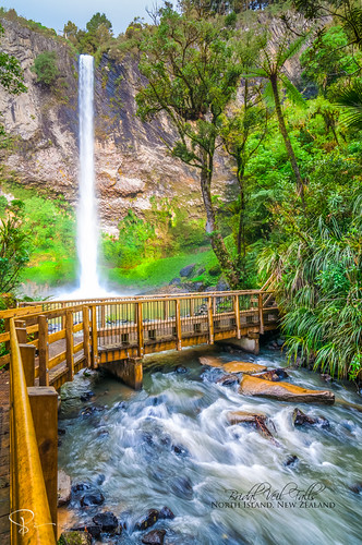 newzealand green fall water forest waterfall rainforest stream waikato northisland lush bridalfalls makomako
