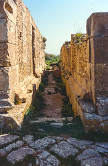 Temples 7 , Bulla Regia, Tunisia