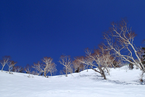 japan hokkaidoprefecture skiスキー yoichidistrict hokkaodo北海道 kirororesortキロロ・リゾート tg2p3310557
