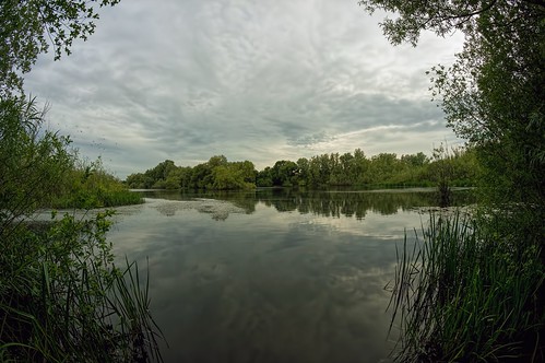uk summer england sky plants lake painterly reflection tree green nature water grass birds clouds forest reflections landscape outdoors reading mirror fishing pond bush weeds day cloudy britain outdoor twyford sony wide reserve style wideangle fisheye ripples 8mm turner berkshire ultrawide f28 sanctuary timeless pse pictorial topaz loddon lightroom constable wokingham angling nex lakescape thamesvalley samyang charvil maistora 5r yahoo:yourpictures=weather f288mm