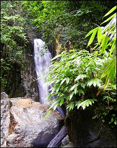 Bang Pae Waterfall 2007