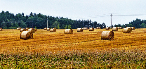 landscape countryside czech country paisaje paisagem campo bales bohemia trigo checa campaña campiña republicacheca fardos rollos