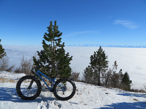 sun snow fog view ride bigboy fatbike 44bikes 16112013