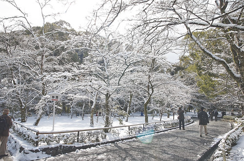 【写真】2014 雪 : 金閣寺/2020-07-05/IMGP4956