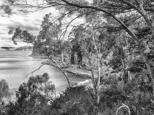 ocean beach landscape cliffs tasmania coastline boroniabeach