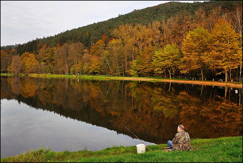 autumn forest automne landscape nikon contemporary sigma paysage reflexion reflets eaux d90 étangs vosgesdunord foréts 1770f284dcoshsmc