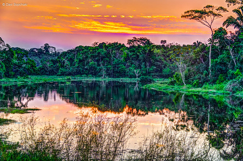 park parque lake lago amazon acre riobranco amazônia