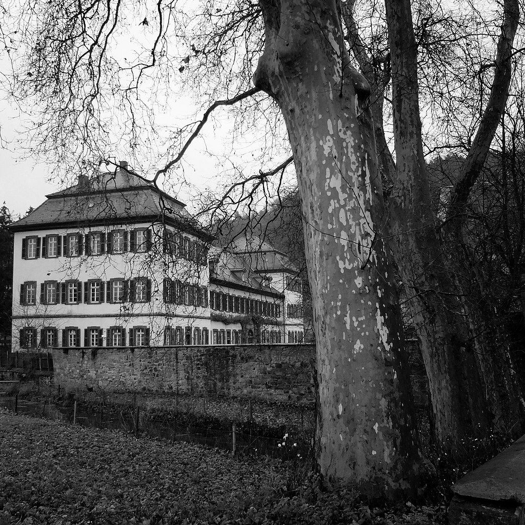 Schloss Bödigheim