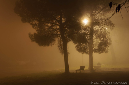 light italy tree fog bench cassino lazio