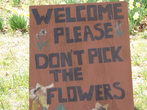 Please don't pick the flowers