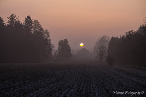 morning sun mist fog sunrise germany landscape bayern deutschland bavaria nebel landschaft sonne sonnenaufgang morgen hallertau elsendorf